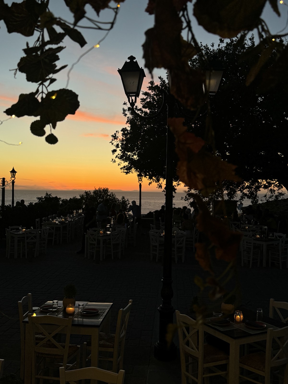 εικόνα_Viber_2024-07-31_20-20-08-267